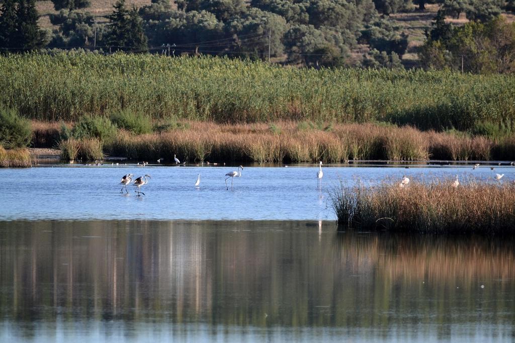 S4Sani Βίλα Παραλία Σάνη Εξωτερικό φωτογραφία